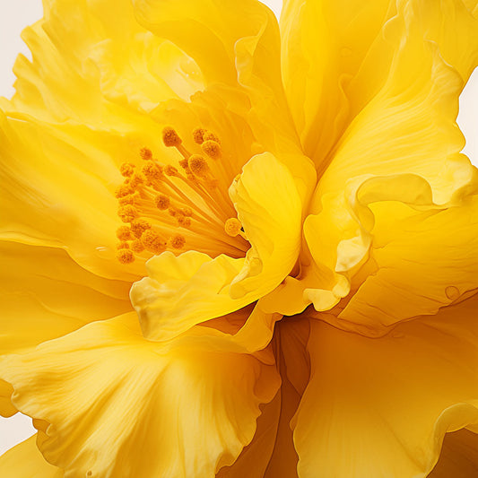Enhancing Skin Health
