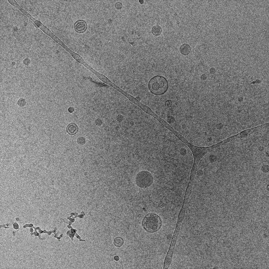 TEM imaging of liposomes