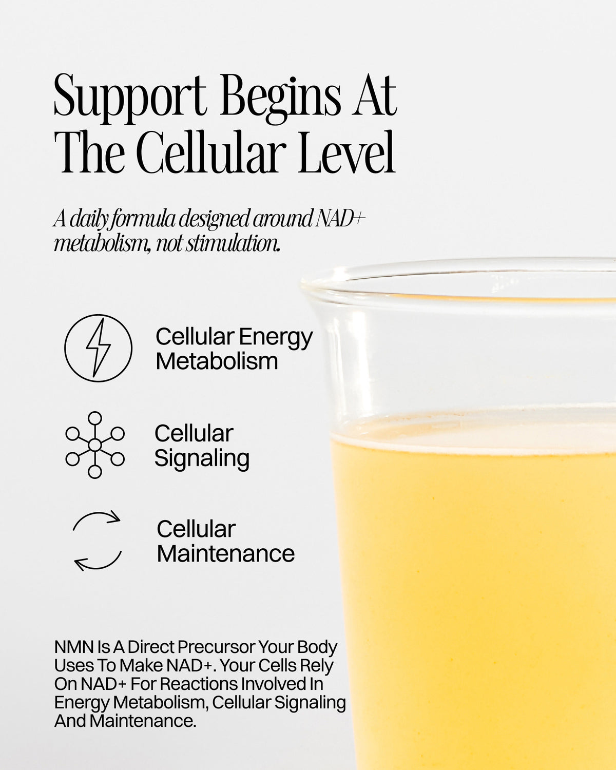 Advanced Liposomal NMN